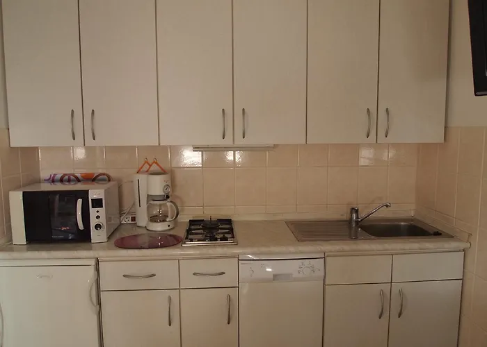 Marko Novigrad Novigrad Istria