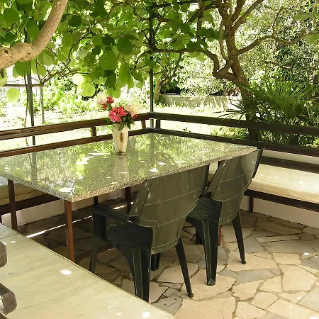 Marko Novigrad Novigrad Istria