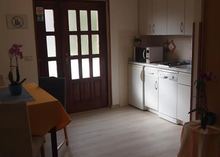 Marko Novigrad Διαμέρισμα Novigrad Istria